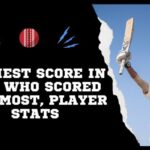 Highest Score in ODI: Who Scored the Most,